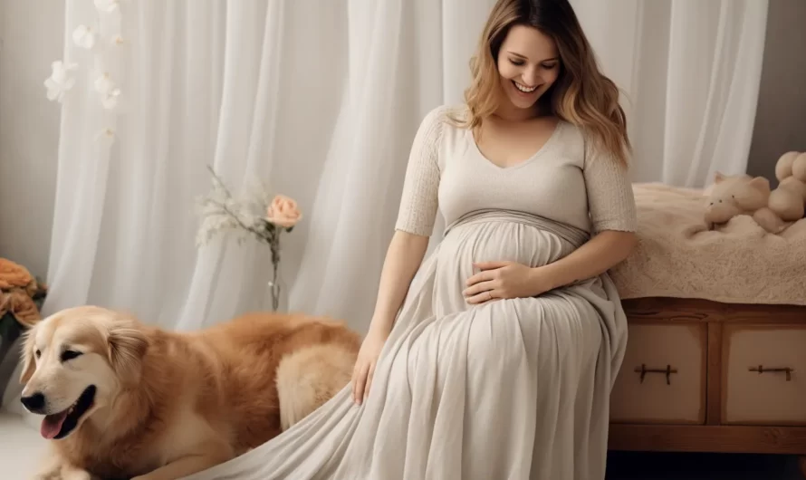Ciąża u psa – ile trwa, jakie są objawy i jak przebiega?